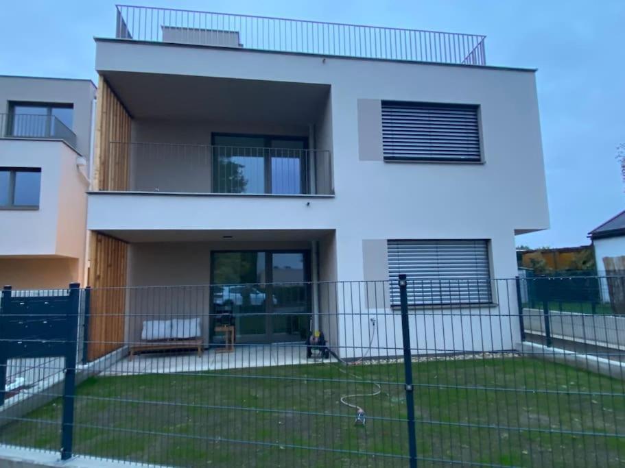 Modern Studio Gardenia_Gartenwohnung Alte Donau Wenen Buitenkant foto